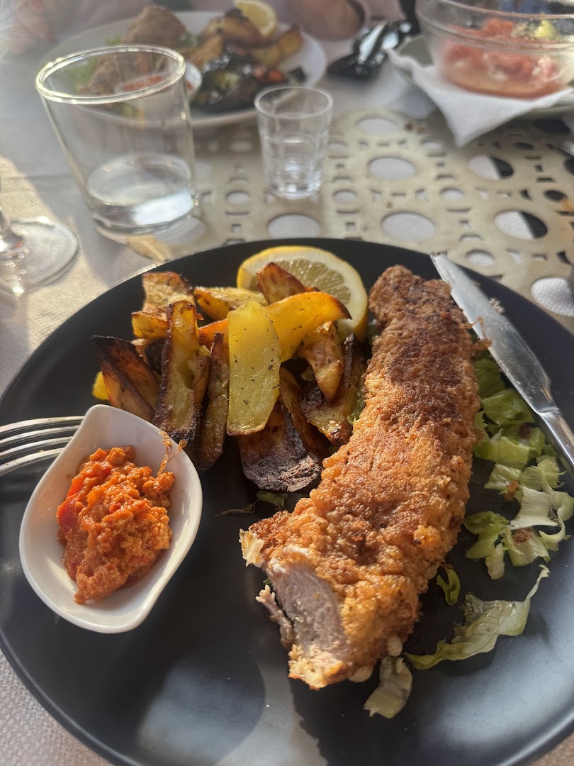 Zonja Gjene: appetizing photo of restaurant meal