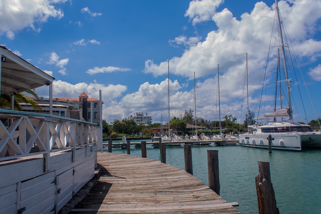 West Point Bar: attractive terrace and harbor view