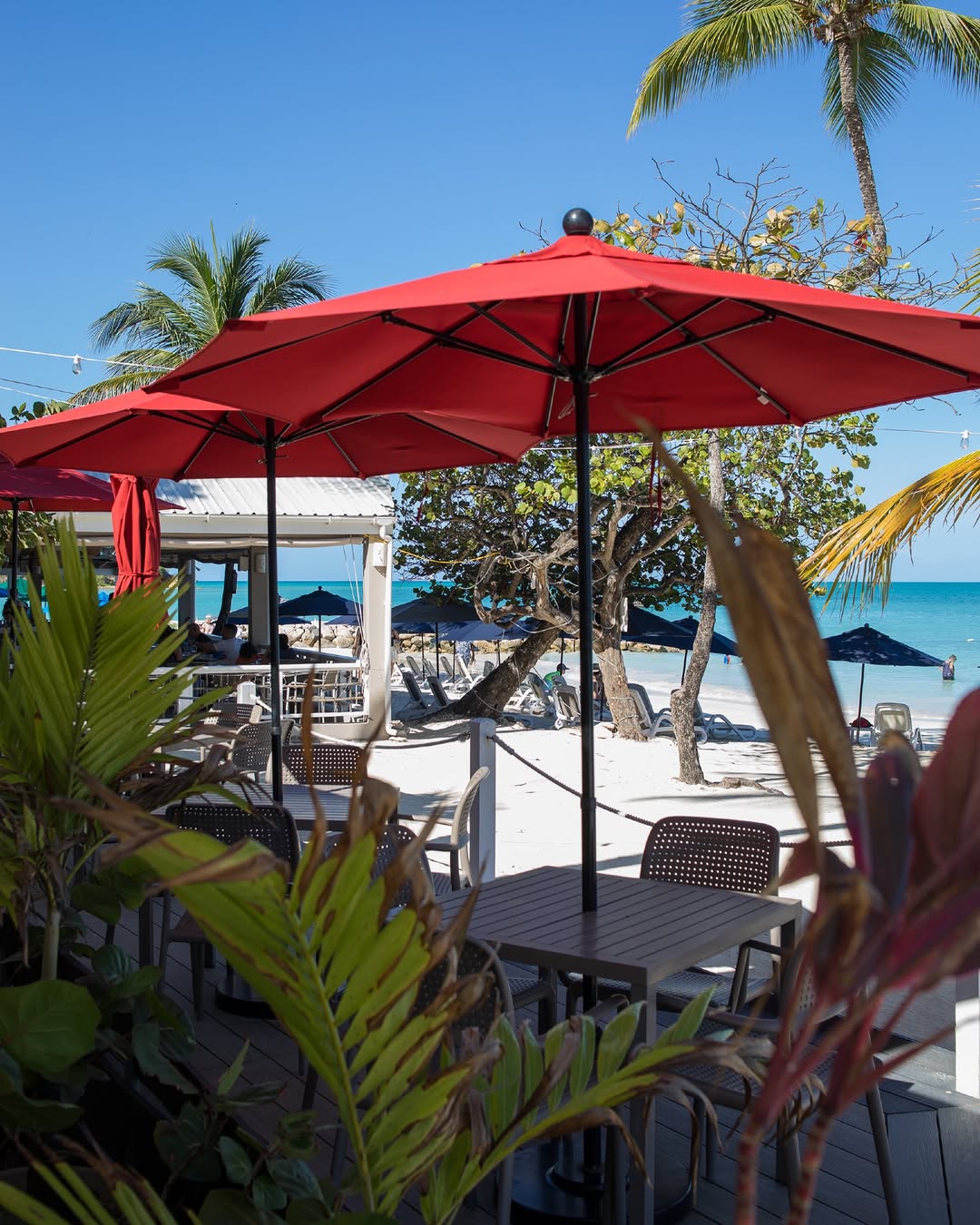 Salt Plage: attractive, high-quality restaurant terrace view