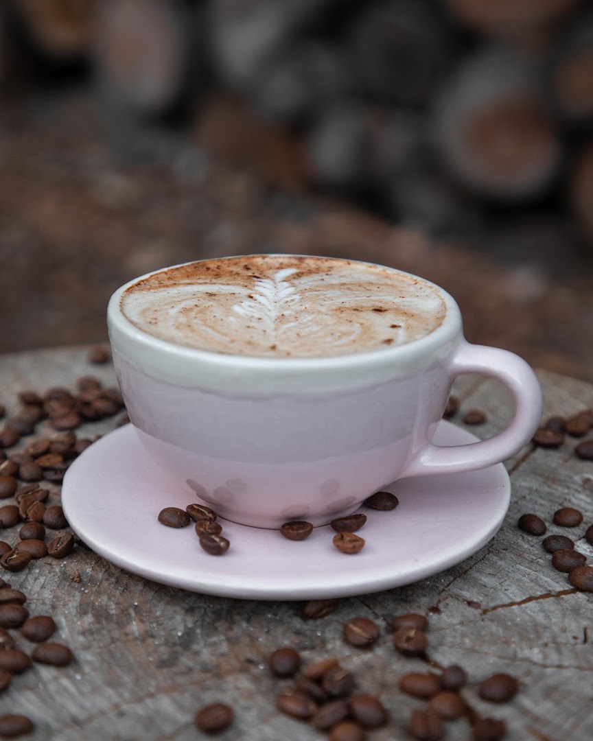 AUITA: high quality professional food photography