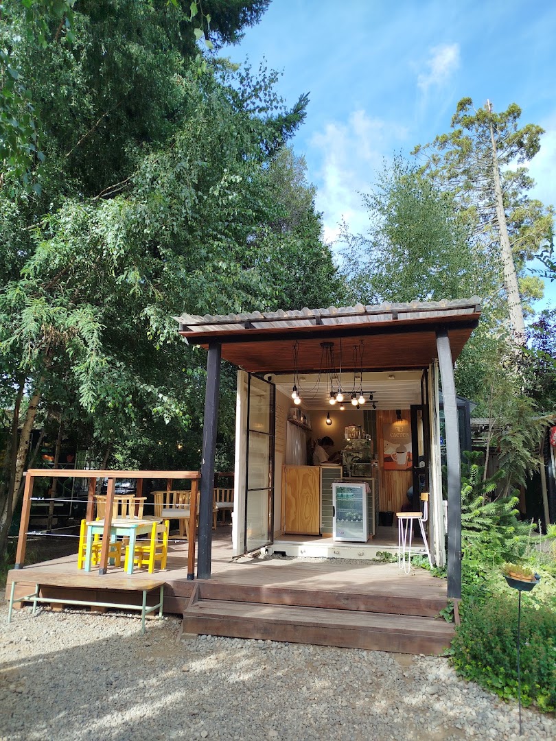 Cactus Cafetería: attractive, clear photo of venue