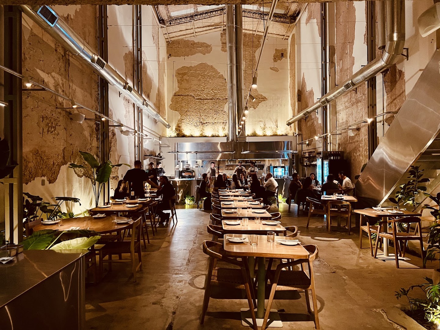 Mambo: inviting atmosphere and professional composition