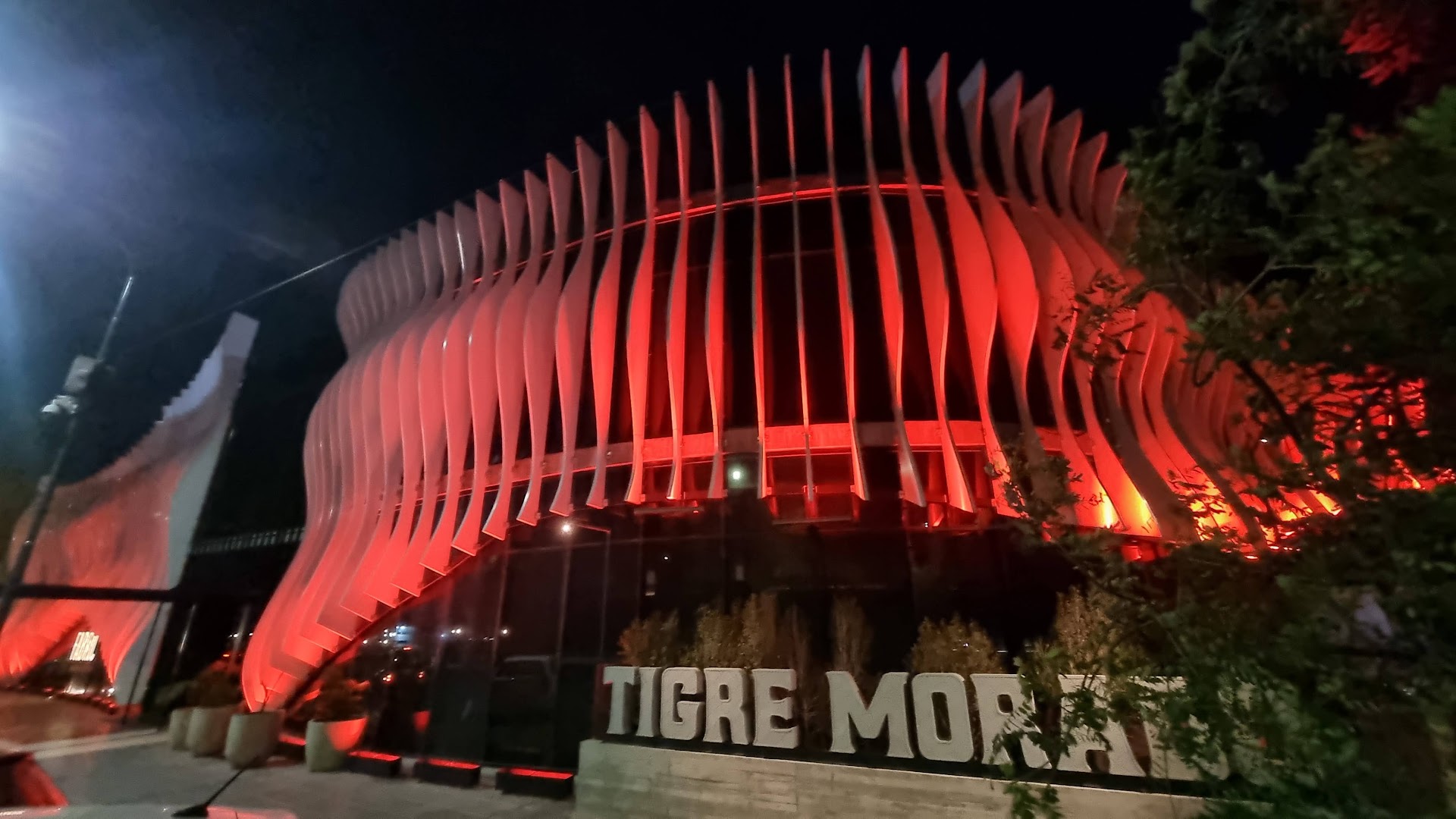 Tigre Morado: striking exterior night shot