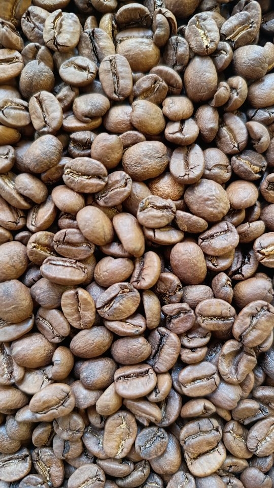 Américo Helados: high quality coffee bean close-up