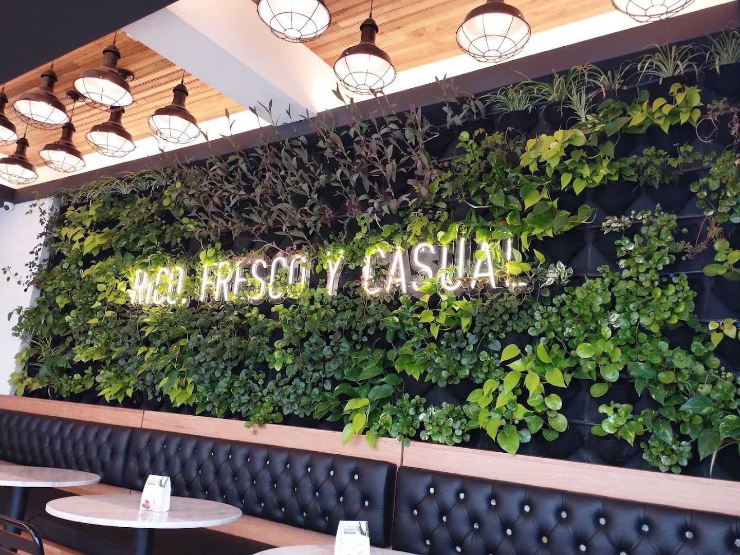 Tostado: attractive interior with green wall