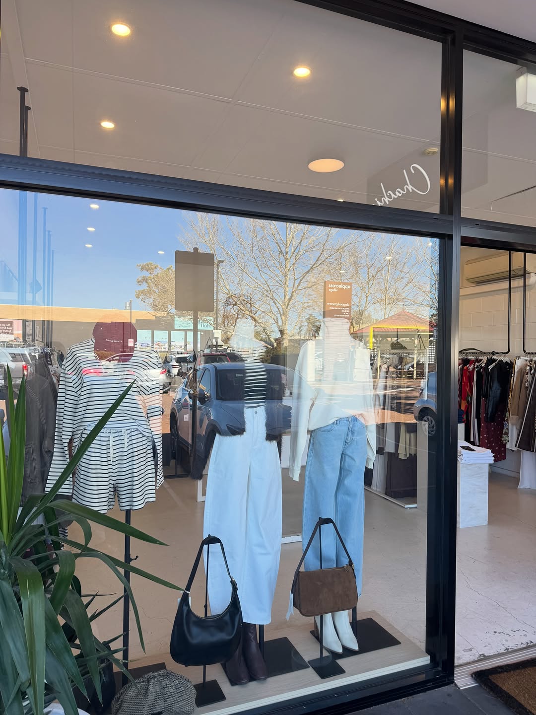 Chachi Store: clear storefront display photo