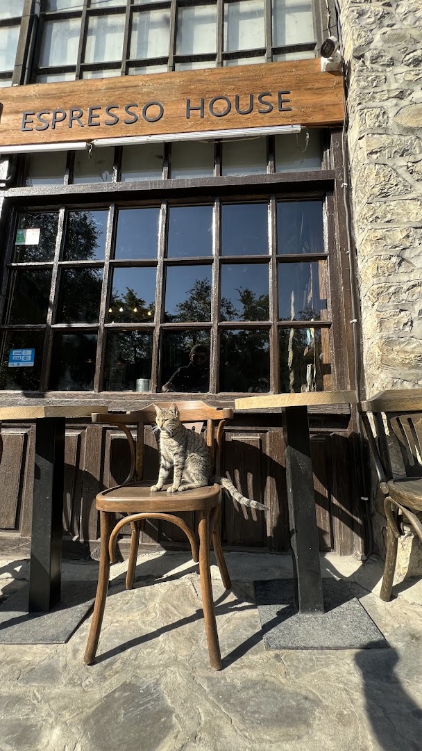 Illy Espresso House: charming atmosphere with venue signage