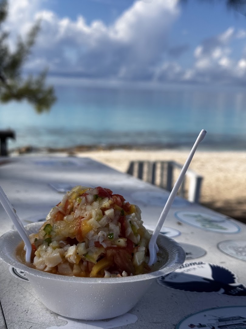 Big Mike's Fresh Conch Salad: appetizing food with scenic background