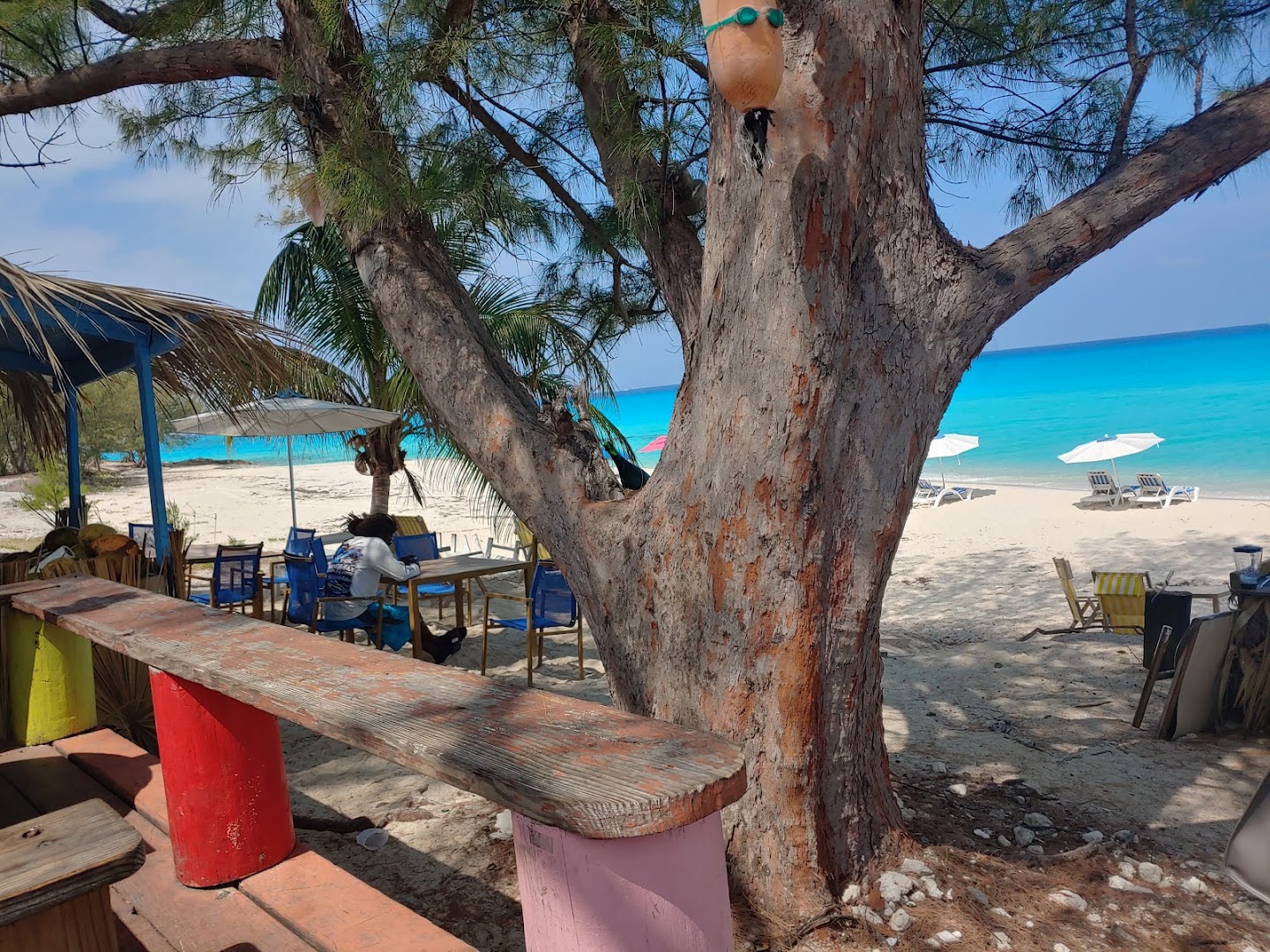 CJ's Deli: inviting restaurant beach atmosphere