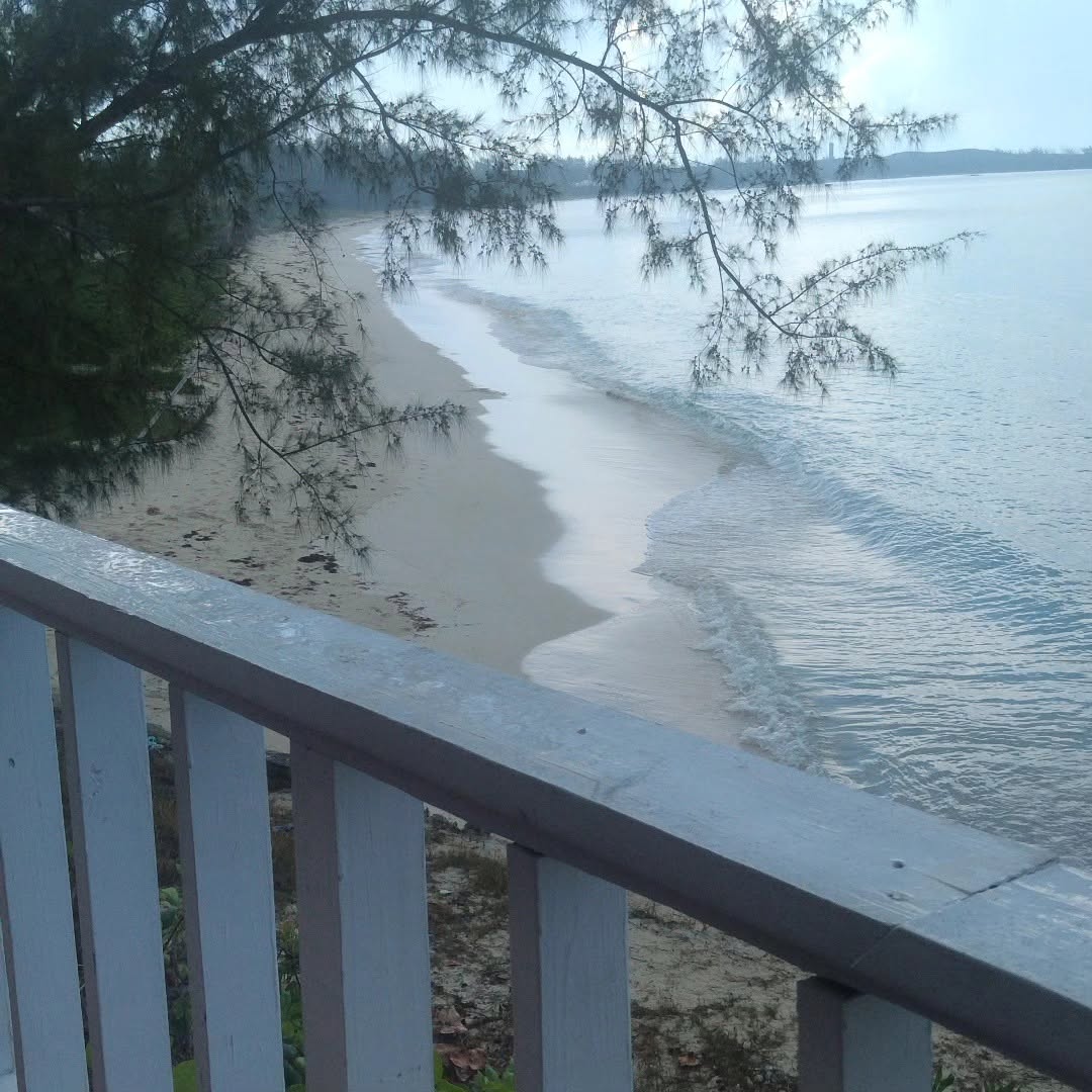 Peninsula Bar & Seafood Grill: restaurant's scenic view