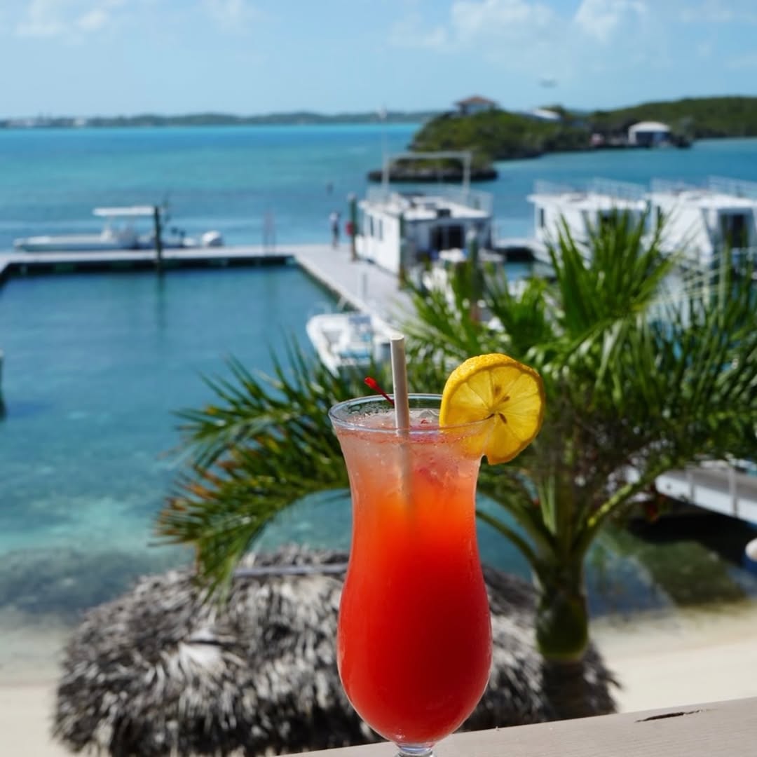 Snappy Turtle Bar & Grill: appealing drink with scenic view