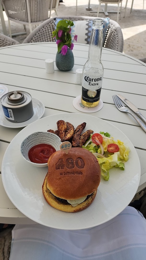 Bar480: appetizing food and drink photo
