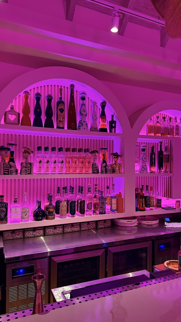 Paloma: attractive bar interior and lighting