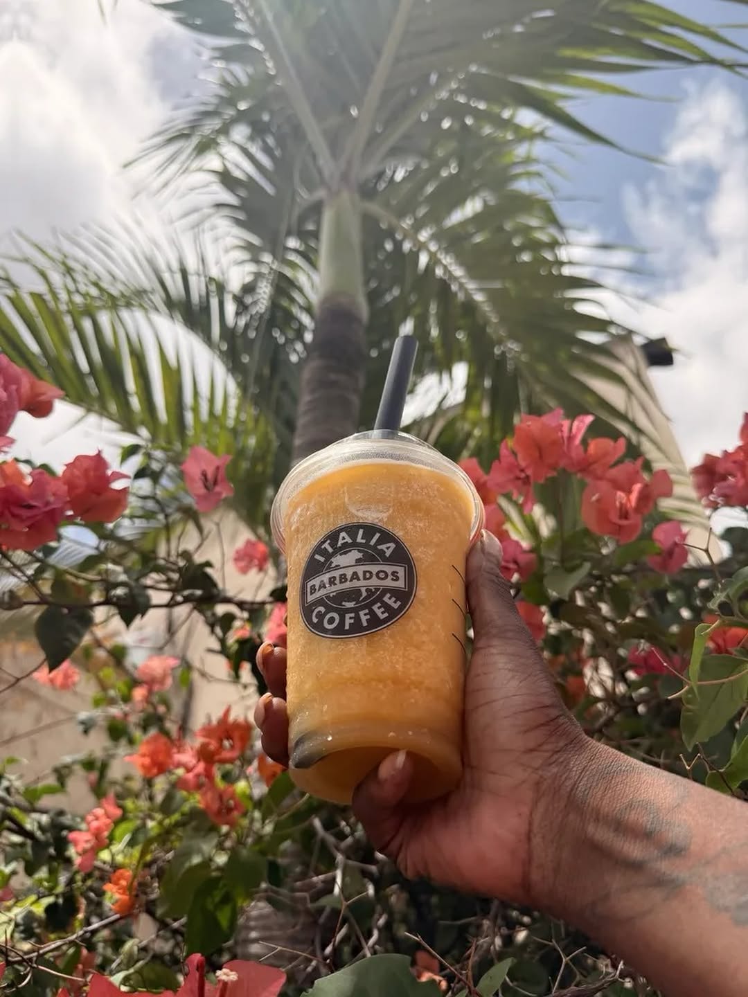 Italia Coffee Barbados: appealing product photo with branding