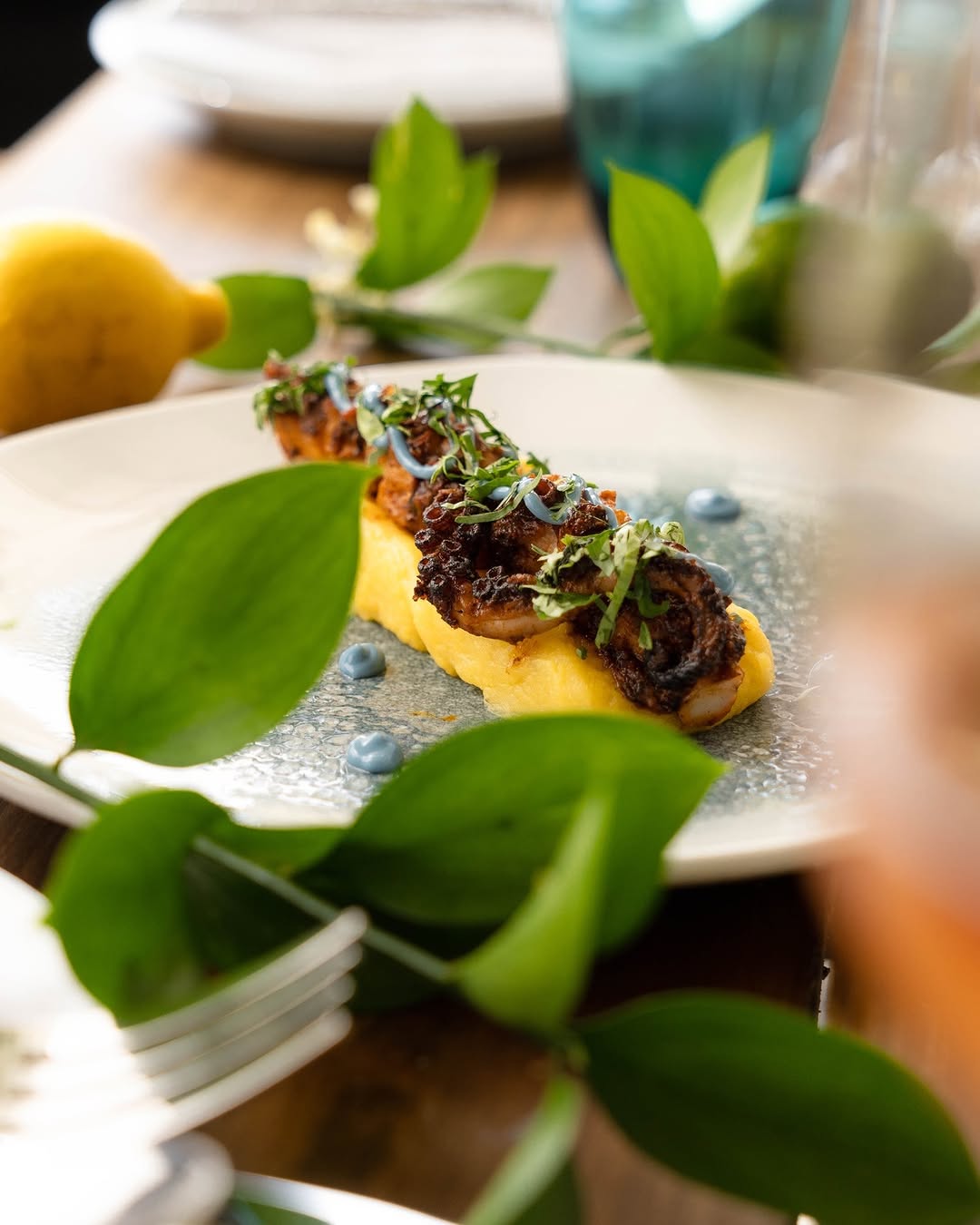 Baia: professional and appetizing food photography