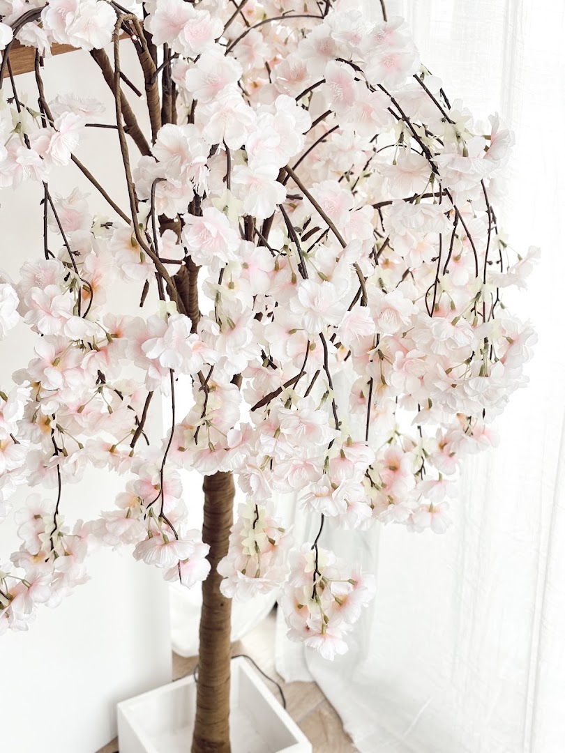 Les Deux Soeurs: beautiful shop interior decor photo