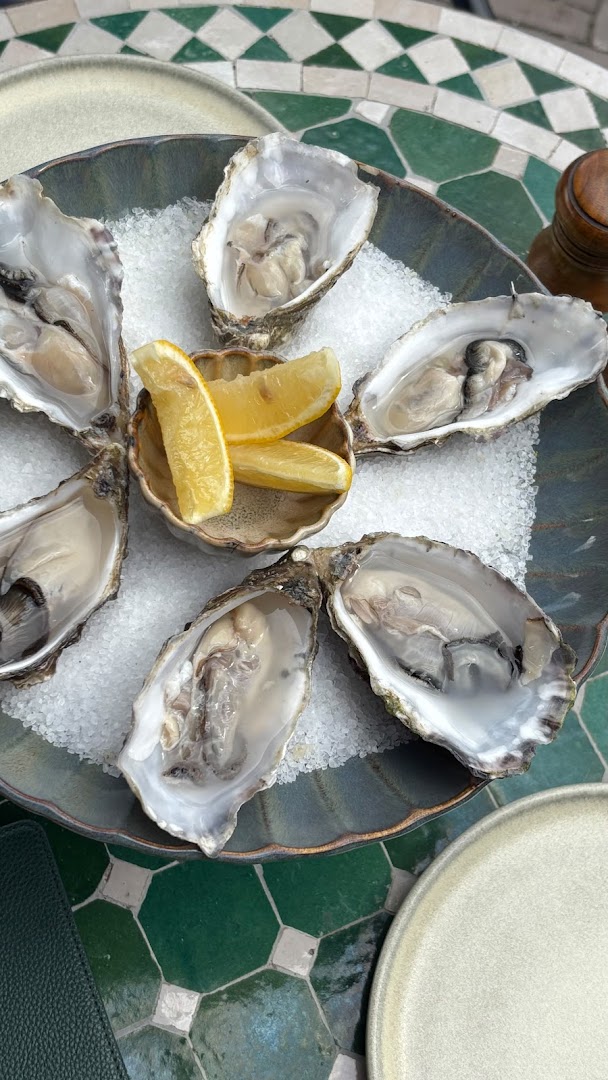 Bar To Taste: appetizing photo of fresh oysters
