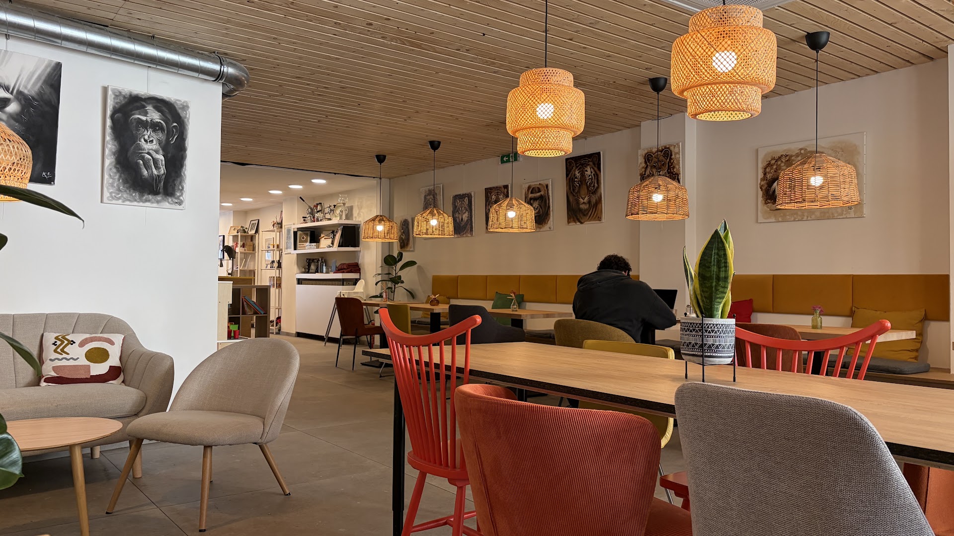 Elephant Coffee: inviting and professional interior shot