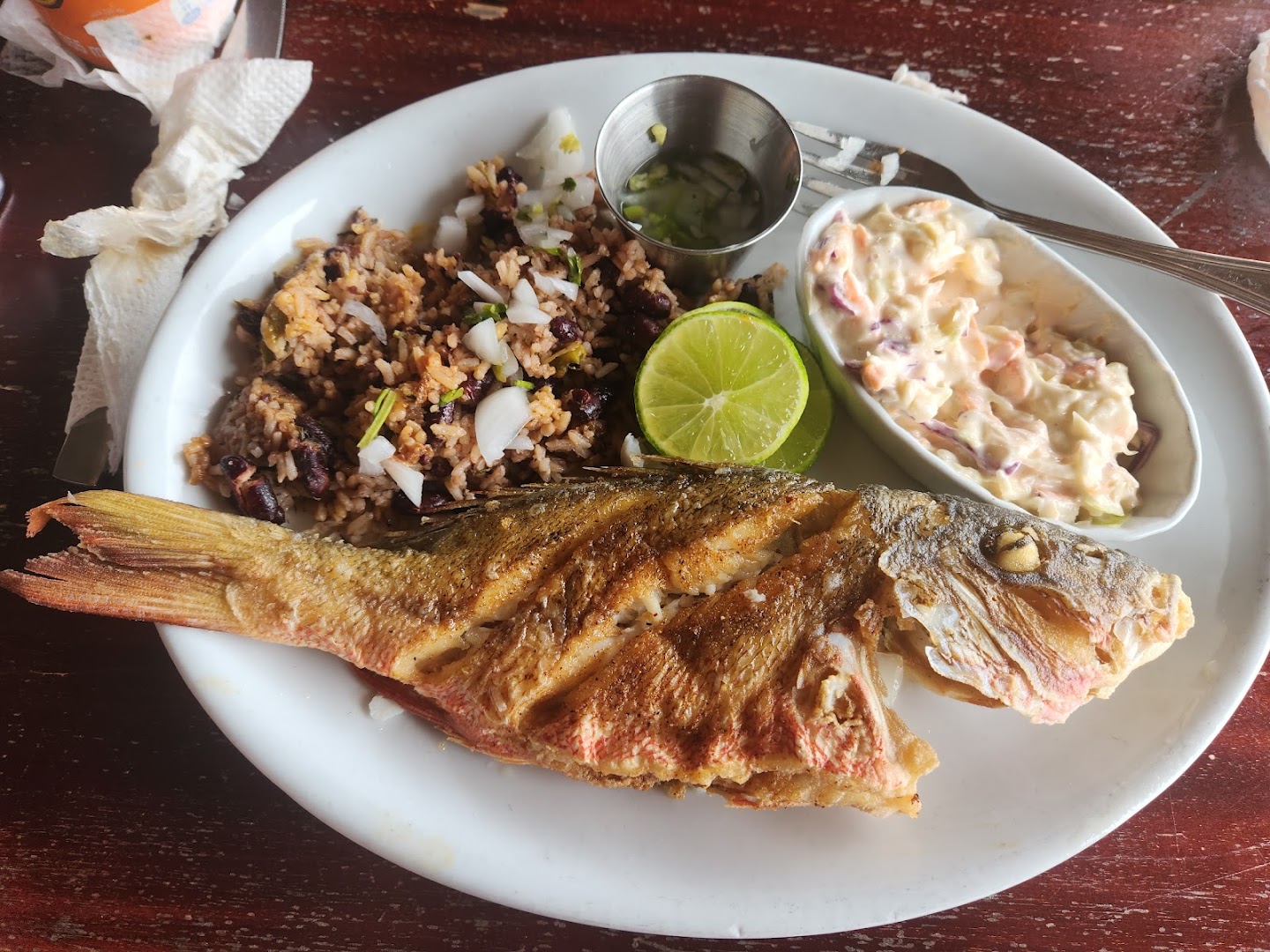 Lucca Restaurant & Bar: appetizing, clear photo of food