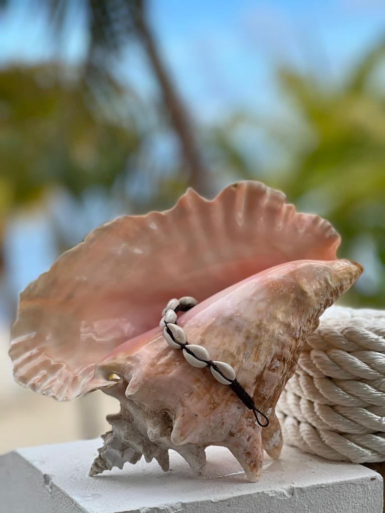 Sunshine Jewelry: high quality product display photo