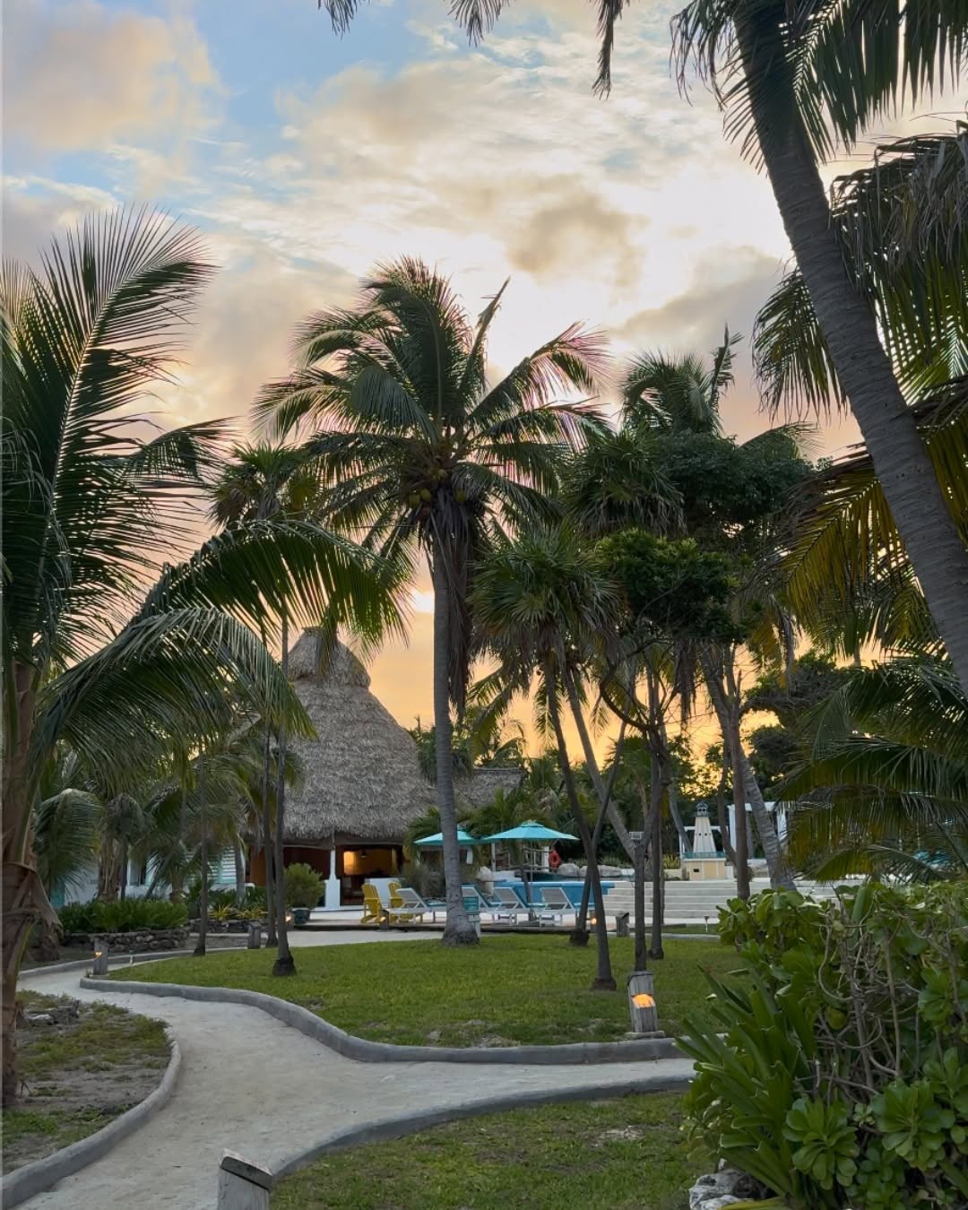 Driftwood Grill at Reef Haven Belize: beautiful atmospheric shot of venue