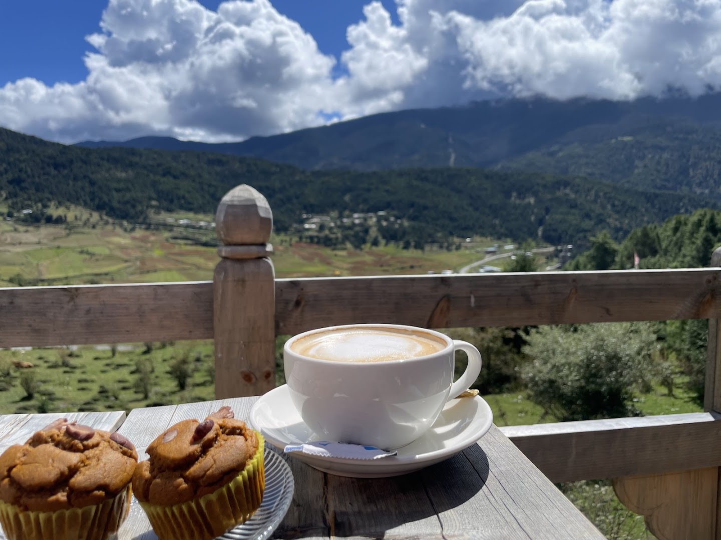 CCH2O Café: beautiful view and appetizing presentation