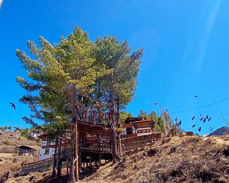 Katsho Goemba: clear scenic view of venue