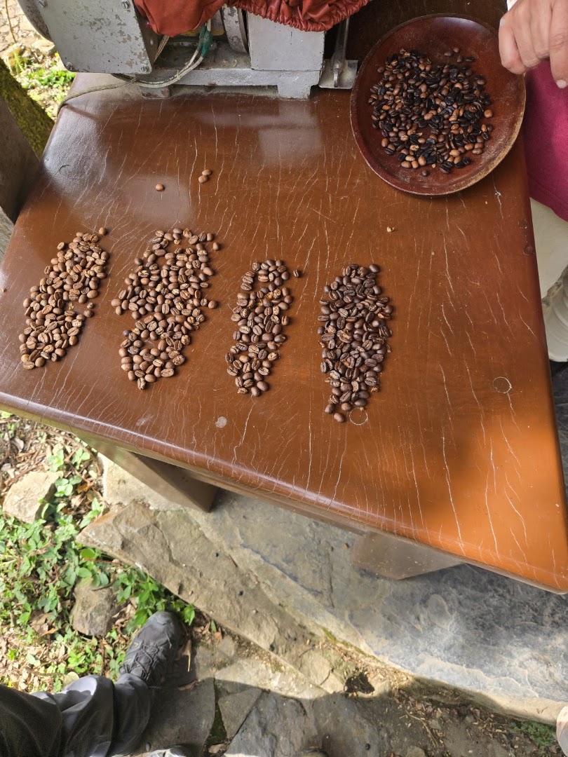 Café Munaipata: coffee roasting process clearly