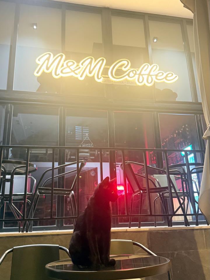 M&M Coffee: inviting atmosphere with clear branding