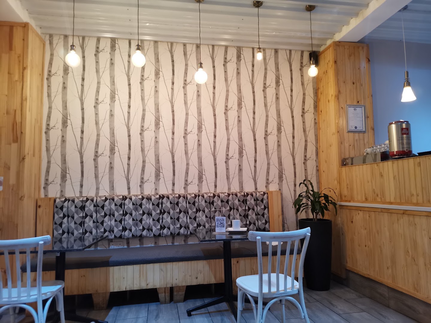 The Thorn Tree: clear, inviting interior atmosphere