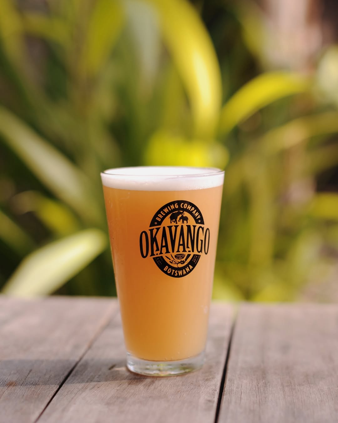 Bull & Bush Maun: high quality, professional drink photo