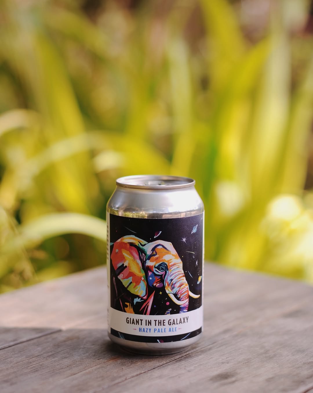 Bull & Bush Maun: high quality product photography