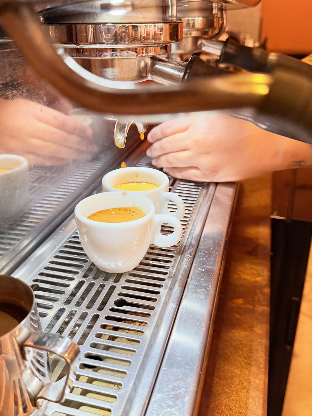 Terra Nova: high quality shot of coffee