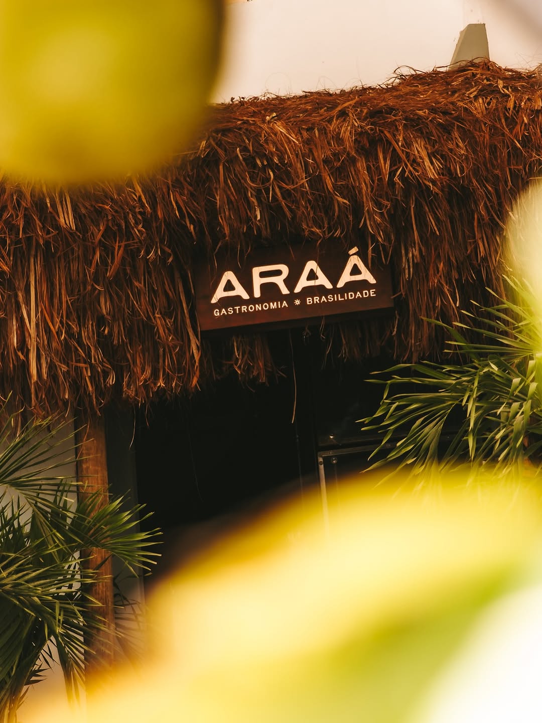 Araá: attractive shot of restaurant signage