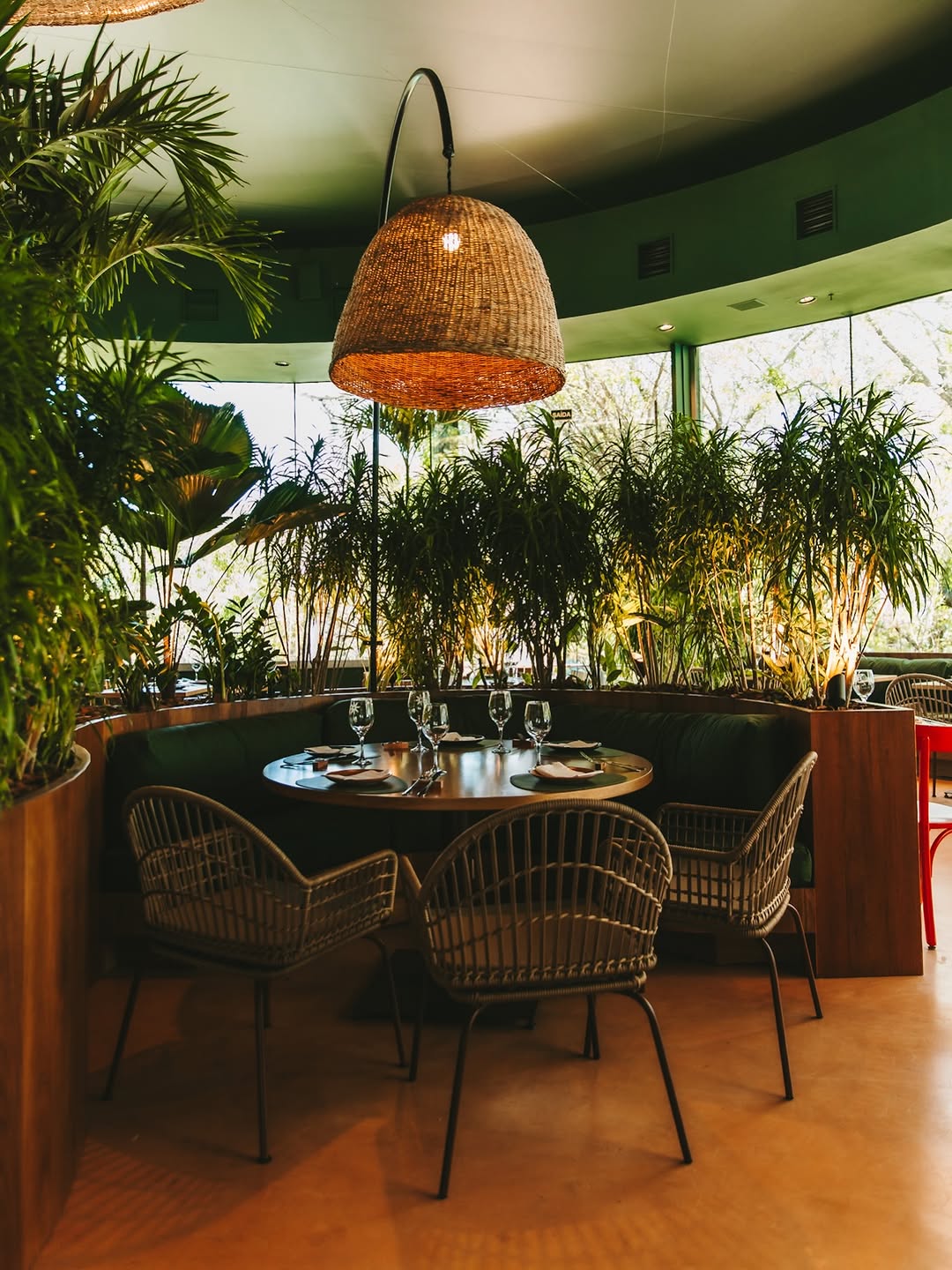 Araá: beautiful, professional interior atmosphere shot