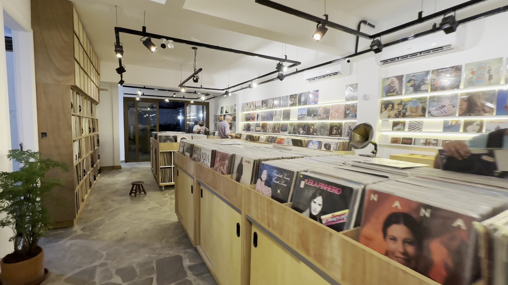 Tropicália Discos: clear, professional shop interior shot