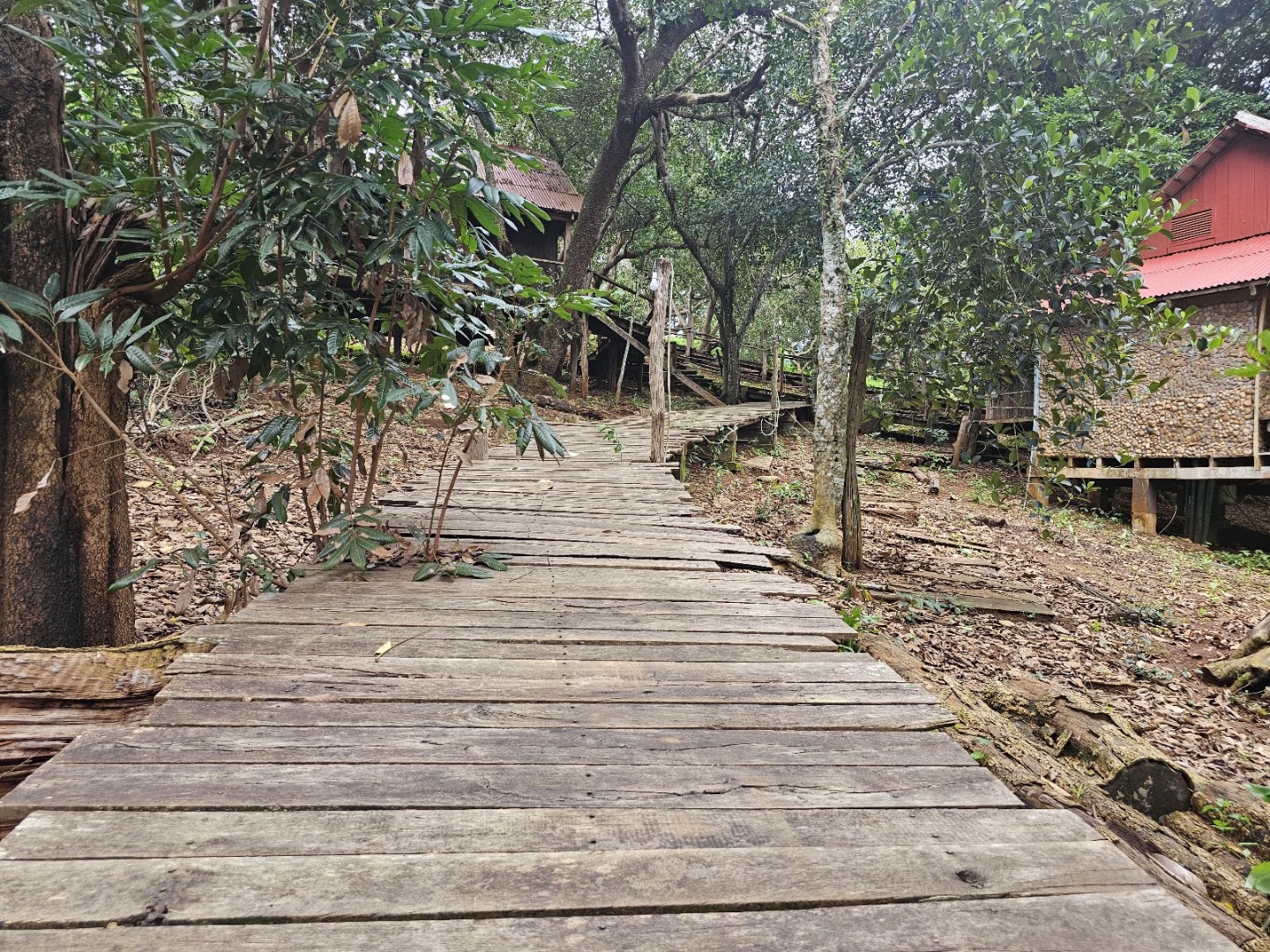 Tree Top Eco-Lodge: venue's natural atmosphere