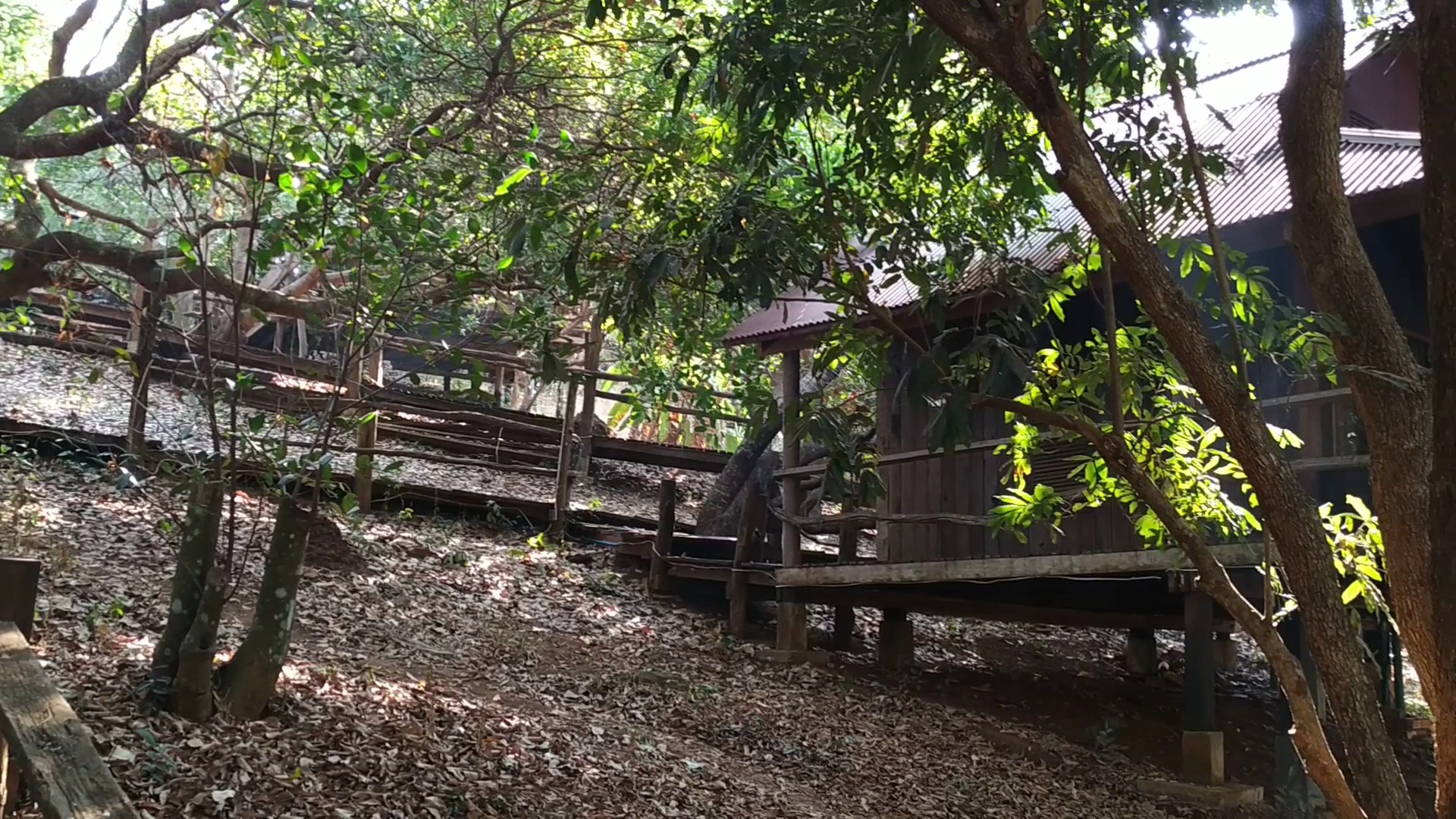 Tree Top Eco-Lodge: venue's natural setting