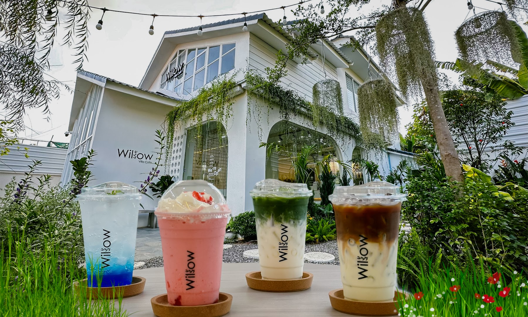 Willow Villa Cafe: professional shot of drinks and venue