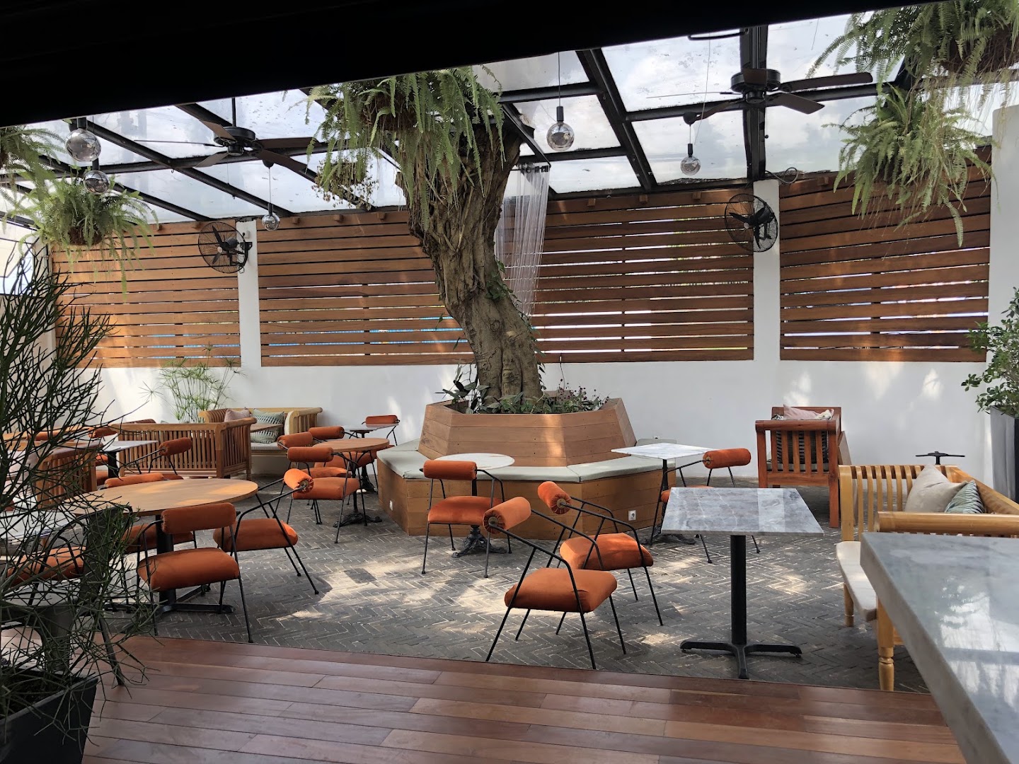 Tassa: attractive and clear venue interior