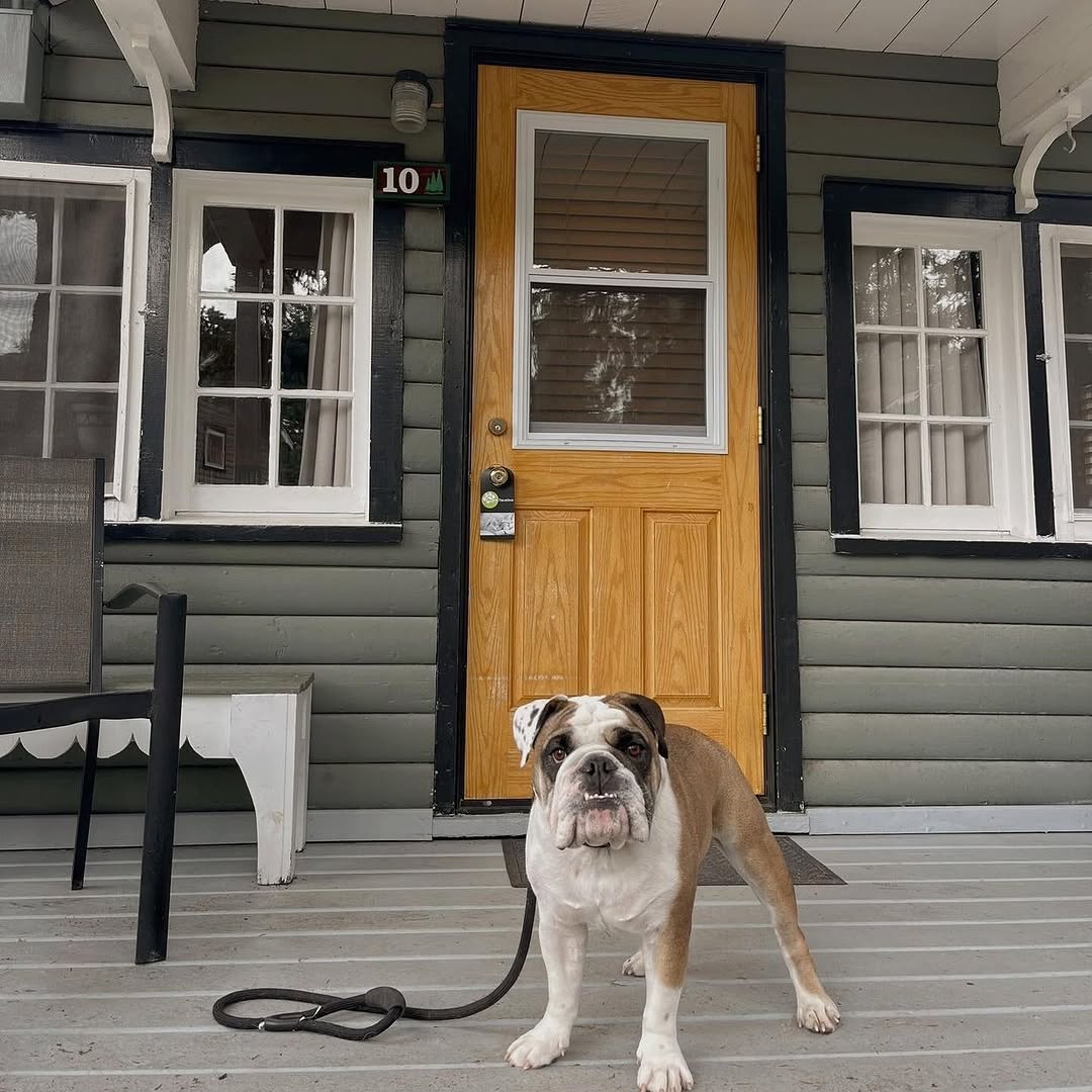 Tekarra Lodge: inviting cabin exterior with pet
