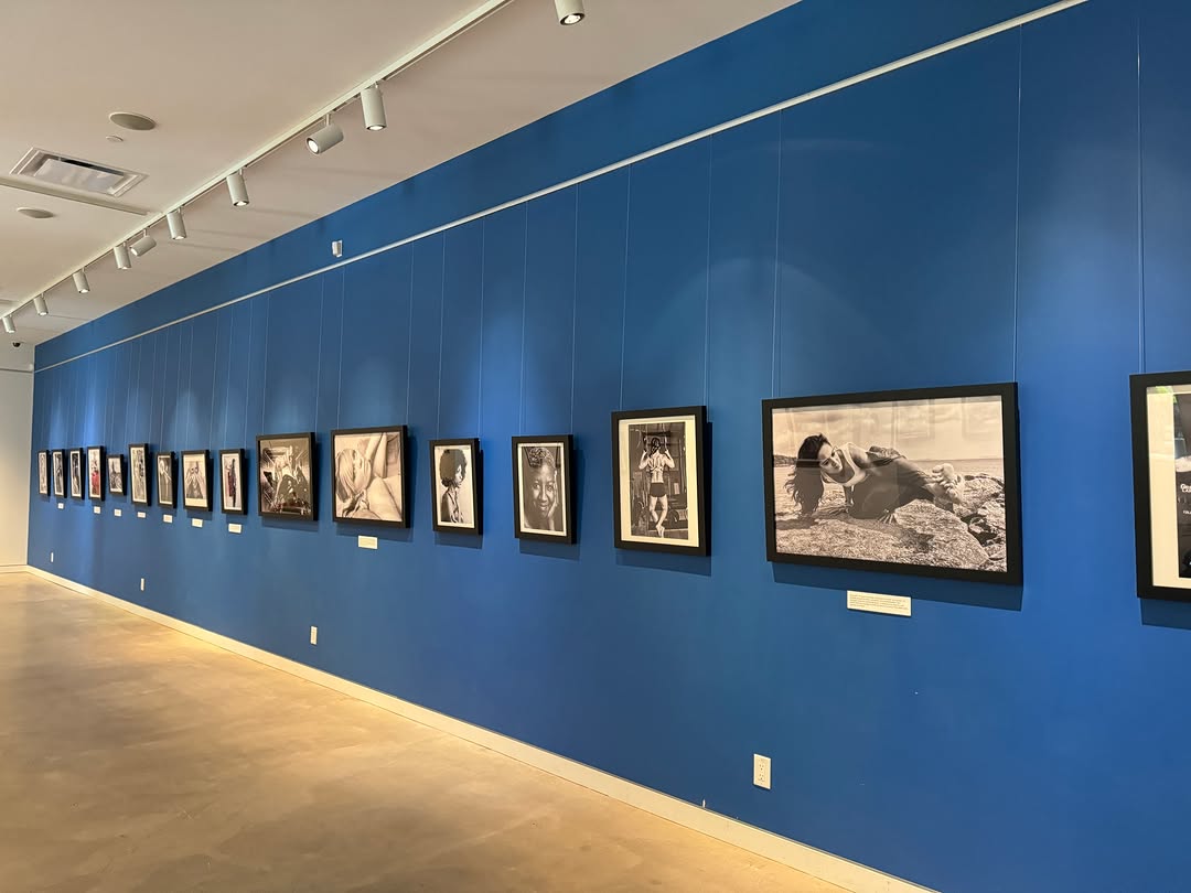 The Exchange: clear view of gallery exhibition