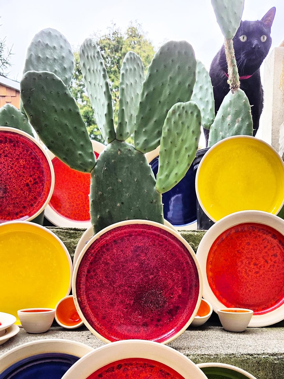 louf: vibrant, high-quality aesthetic photo