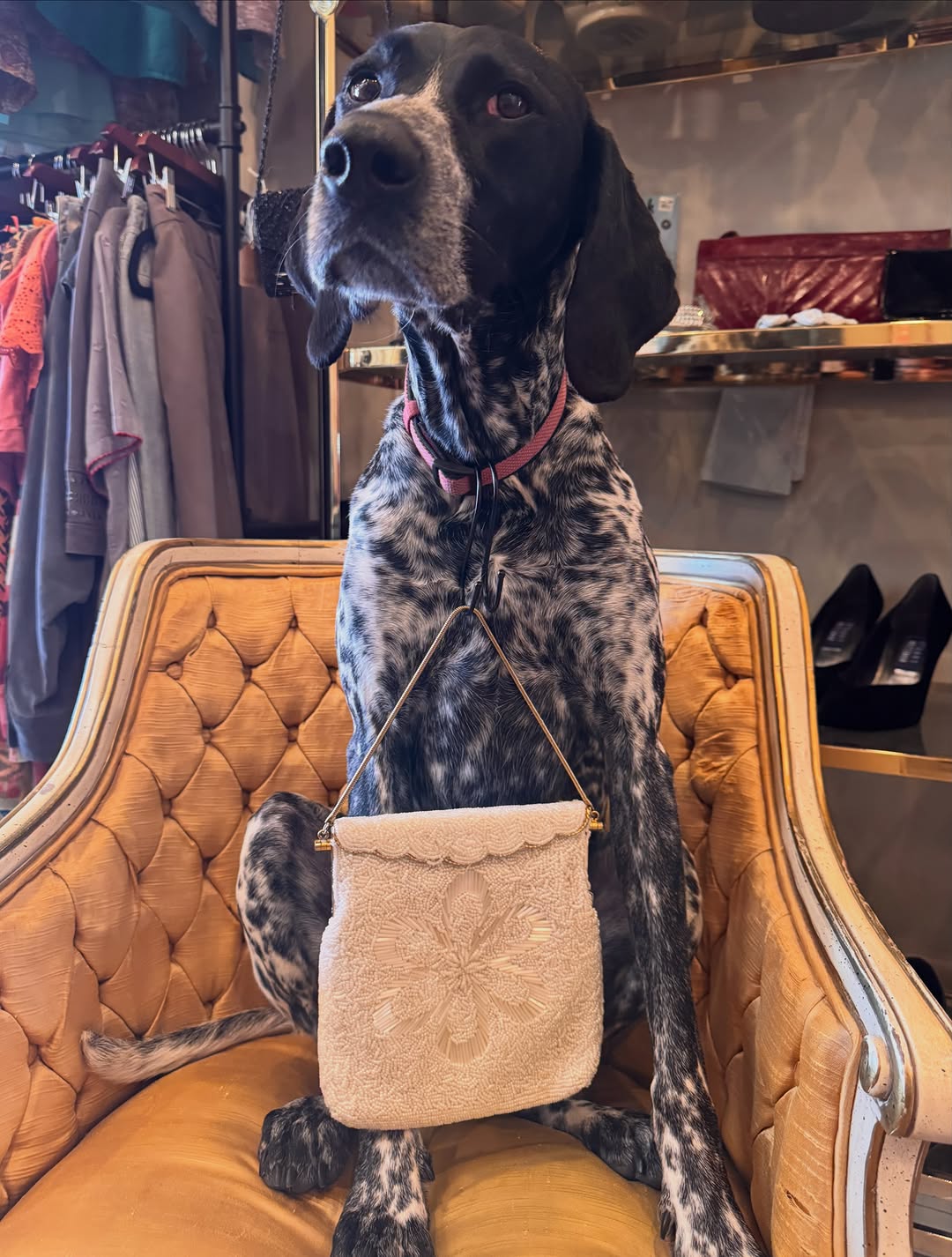 Lucky Beaver Vintage: charming shop atmosphere with product