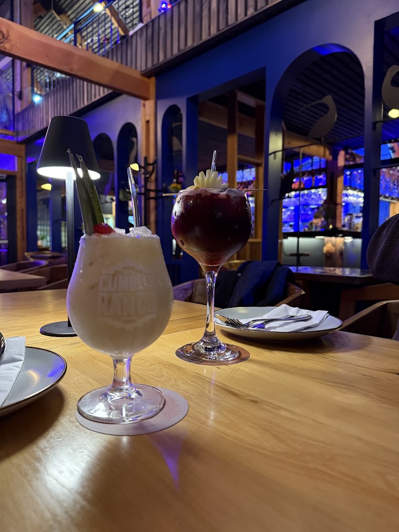 Bar 55: appealing photo of bar drinks
