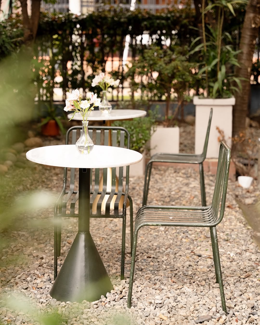 Marquesa: attractive and professional terrace photo