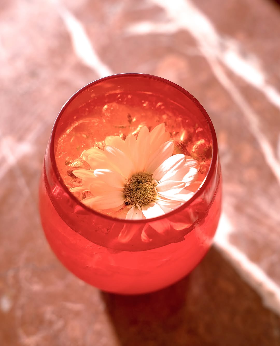 Viva la Vida: appealing, high-quality cocktail photo