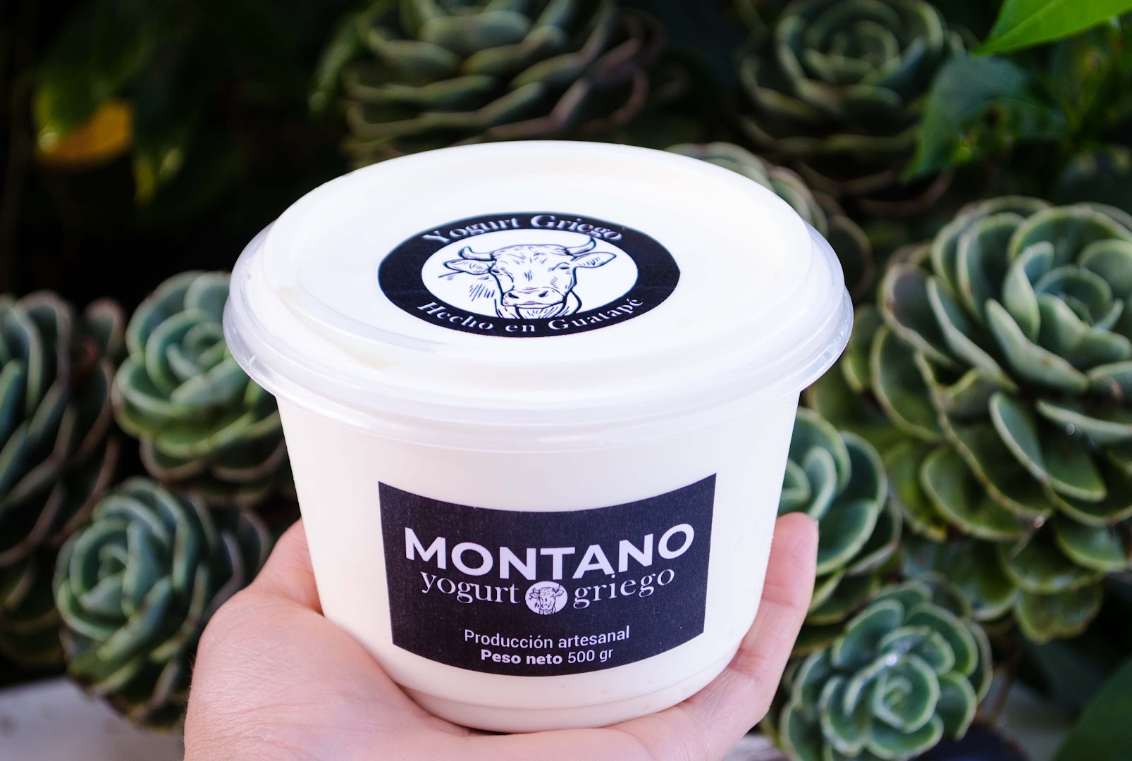 Montano: clear product photo of food