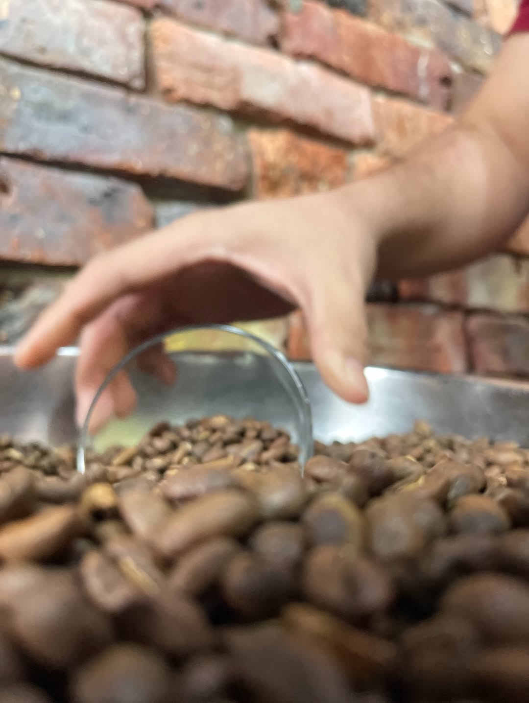 Brunch de Salento: high quality coffee bean shot