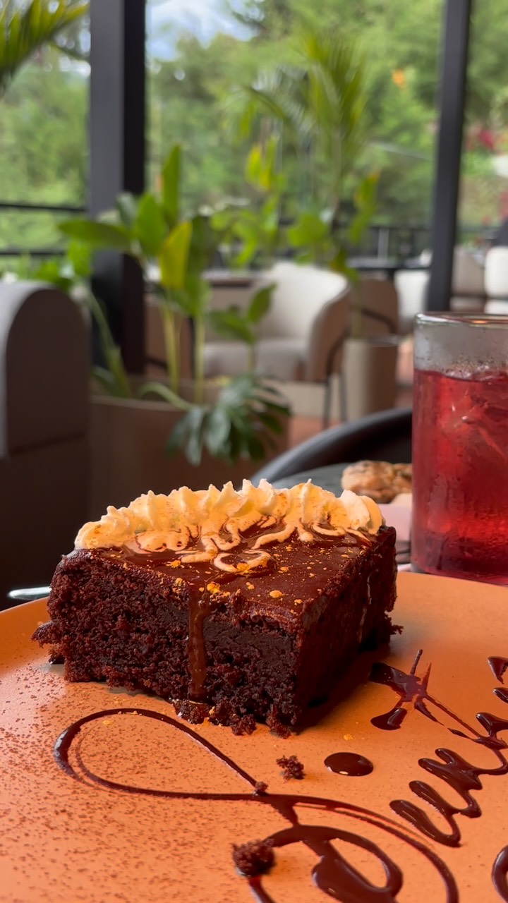Terra: appetizing food photo with atmosphere